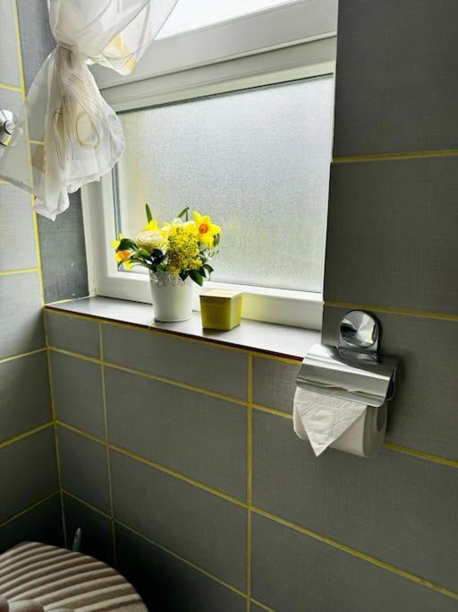 Downtown Delight: Chic Oasis Daire *